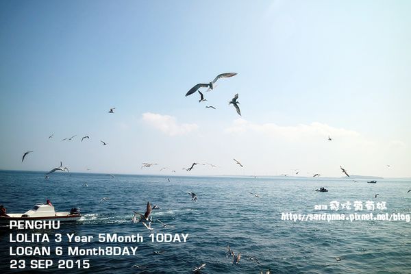 東海一日遊 (177).JPG