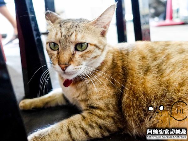 【桃園早餐】日隆早點-排隊店!古早味粉漿蛋餅.中式早餐/銅板美食/桃園美食小吃/在地人推薦必吃