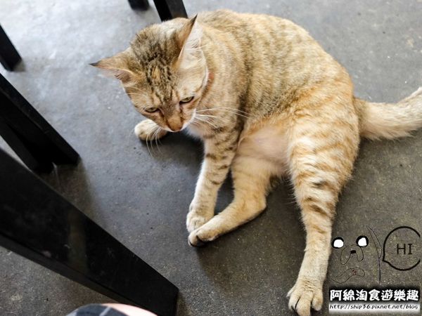 【桃園早餐】日隆早點-排隊店!古早味粉漿蛋餅.中式早餐/銅板美食/桃園美食小吃/在地人推薦必吃