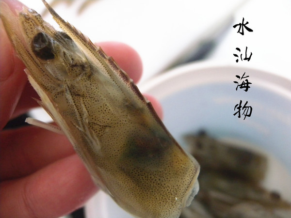 水汕海物：[宅配] 水汕海物  宅配水產超新鮮 高級食材 價錢平宜近人! 和風藍鑽蝦 義式水煮魚 香煎圓鱈佐檸檬起司醬