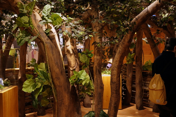 龍貓吉卜力專賣店「橡子共和國」：(胖樺遊記)台北信義區ATT4FUN”龍貓吉卜力專賣店--橡子共和國”。超萌龍貓從卡通中走出來。