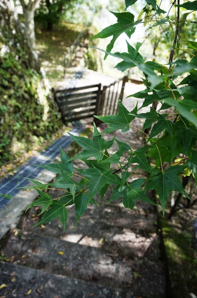 萬大碧湖行館：萬大碧湖行館
