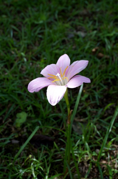 萬大碧湖行館：萬大碧湖行館
