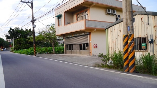 三樹路荷花池:【新北◍•ᴗ•◍三峽】賞花・三峽三樹路荷花田・6/3下午17時花況|濯清漣而不妖、美麗端莊的蓮花