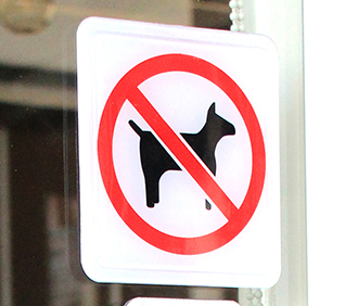 cafe'1989:201506022007內壢新發現【讓白開水告訴你,什麼是真正的好咖啡】採用精品咖啡豆Cafe1989