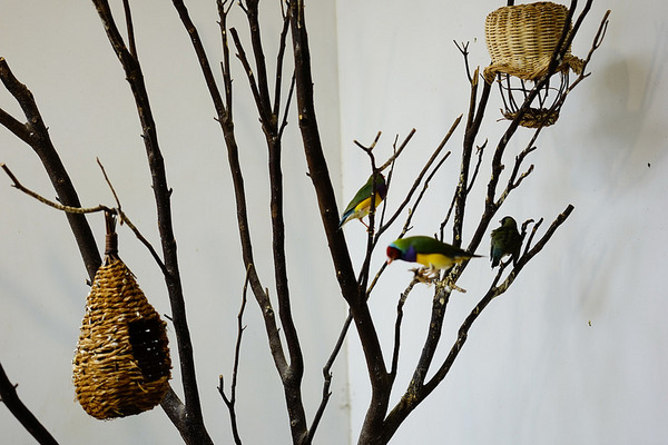 良沐鍋物：良沐鍋物--名店再出發--食材破表湯鮮味美