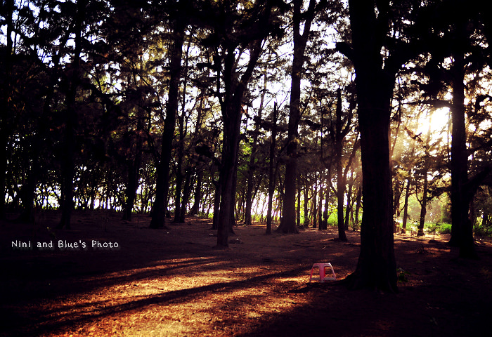 台南漁光島外拍景點01