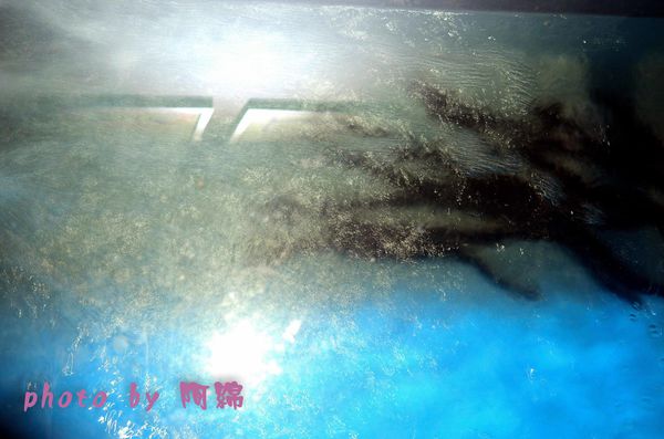 鰻慢來:【桃園日式】鰻慢來-中壢現殺炭烤鰻魚飯專賣