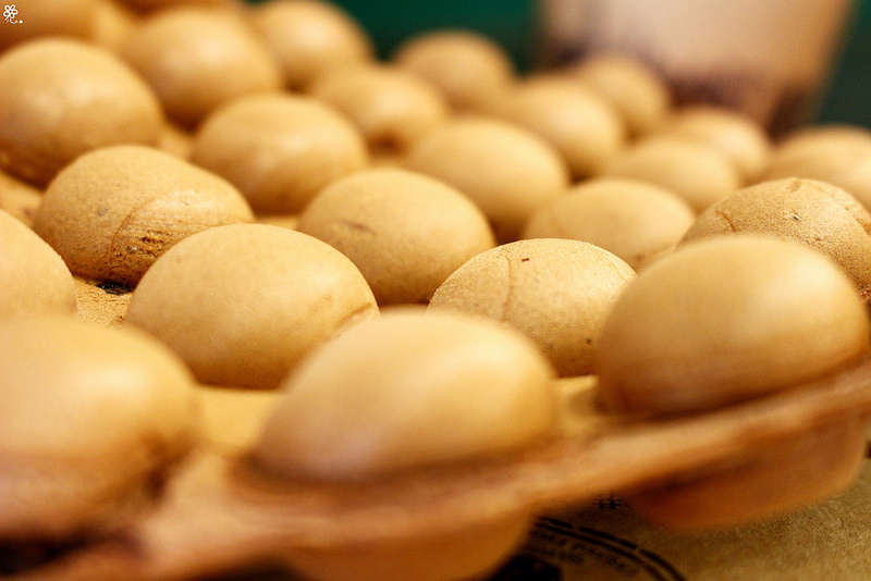 香港菲萊台灣板橋雞蛋仔 (34)