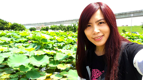 疏洪荷花公園:【新北市景點】二重疏洪荷花公園~荷花在綠葉之間綻放,輕輕地搖曳著迷人的身姿