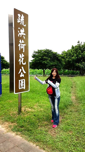 疏洪荷花公園:【新北市景點】二重疏洪荷花公園~荷花在綠葉之間綻放,輕輕地搖曳著迷人的身姿