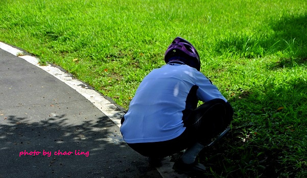 三重荷花公園-7.JPG - 2016夏之豔陽(花季篇)