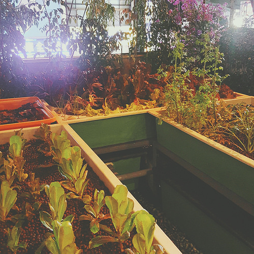 B612_20160130_123638