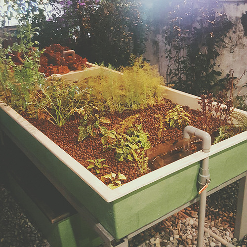 B612_20160130_123631