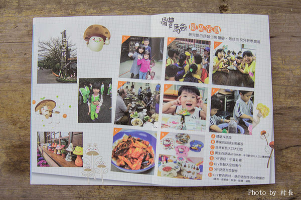 豐年農場:【團購】{豐年農場}大菇小菇找豐年準沒錯