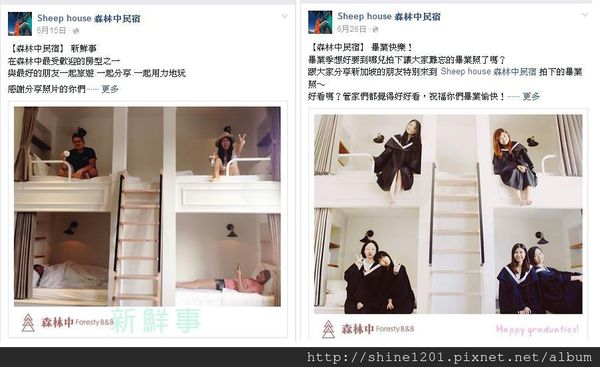 花蓮民宿推薦 - 森林中民宿 / 羊兒煙囪民宿系列