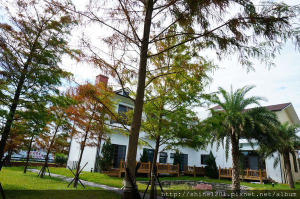 花蓮民宿推薦 - 森林中民宿 / 羊兒煙囪民宿系列