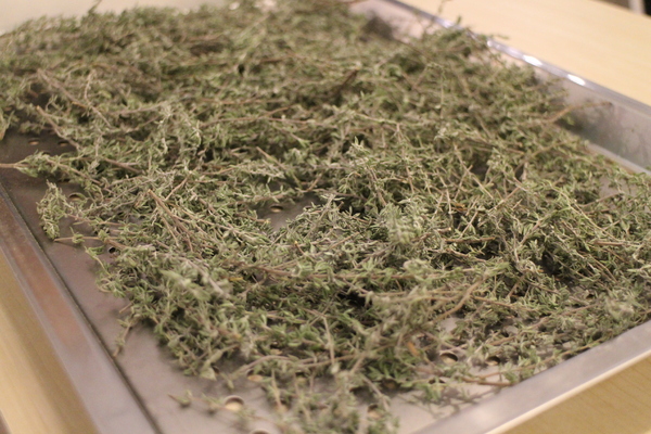 樂。野食:台北巷弄美食『樂。野食』早午餐/義大利麵/捷運忠孝復興站