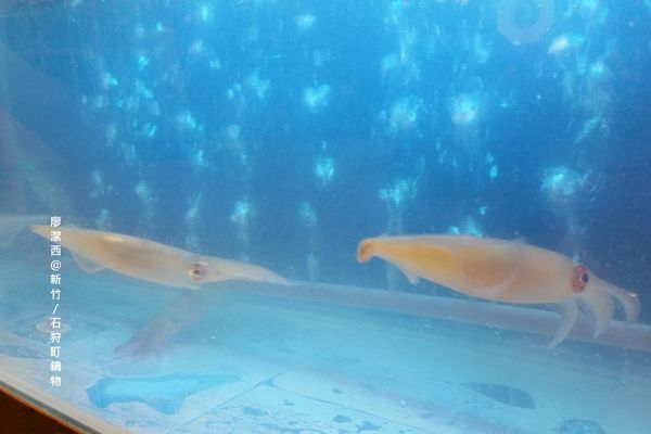 新竹/石狩町鍋物