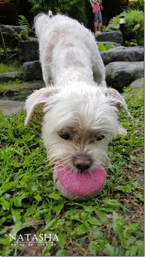 20150614_160403_006P04