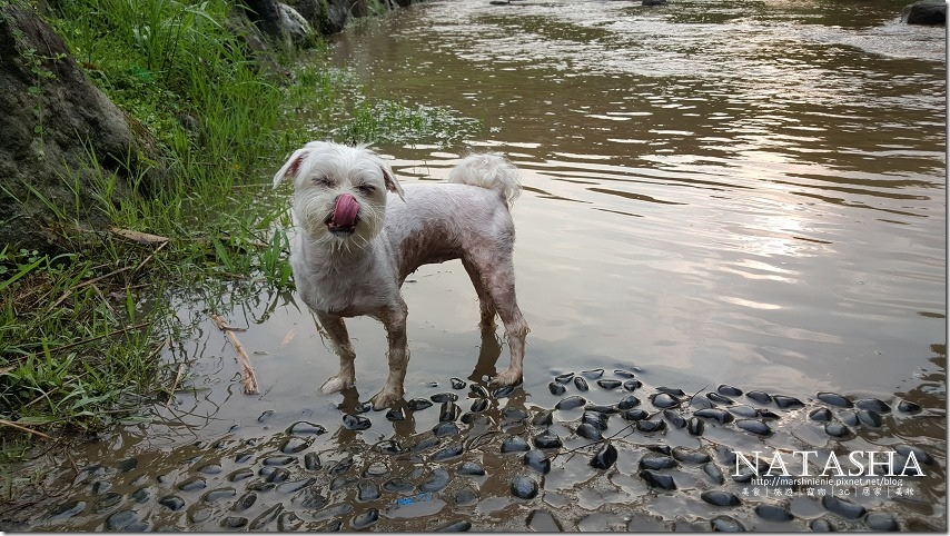 20150614_171611_024_01P05