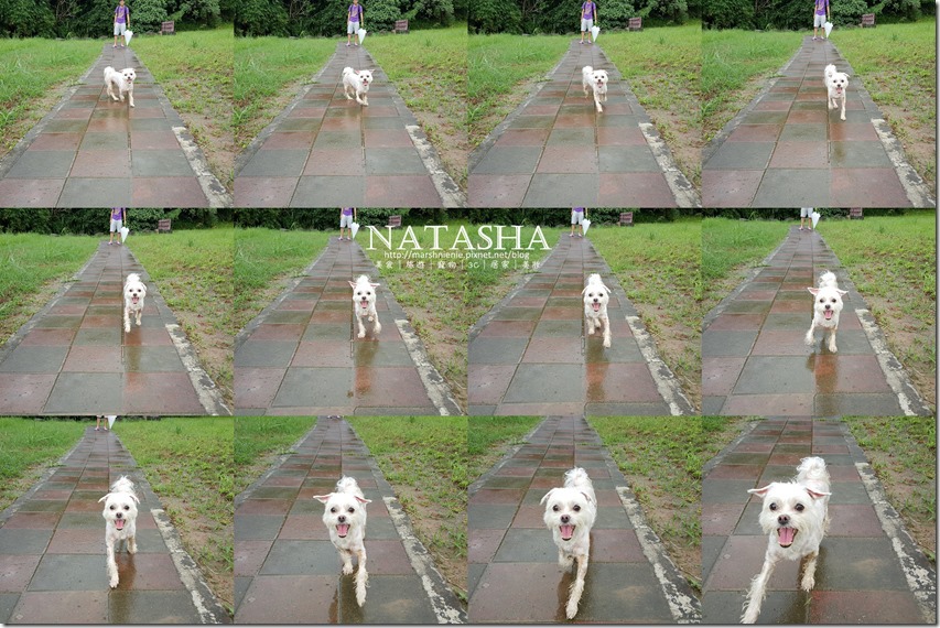 20150614_171157_001P03