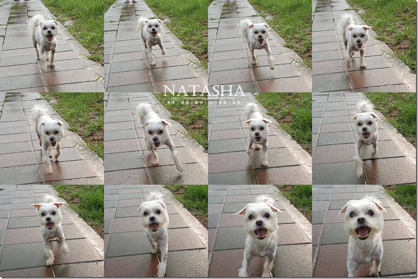 20150614_170926_001P01