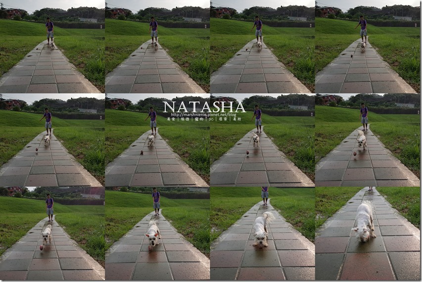 20150614_170946_004P02