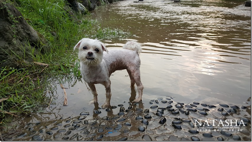 20150614_171611_006P04