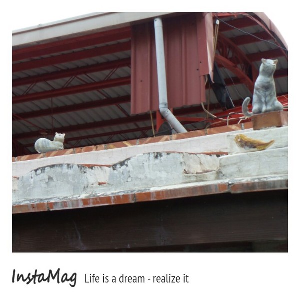 劍獅學堂：【台南景點】劍獅學堂