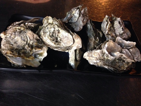 11430319_1091665814181893_871582815_o