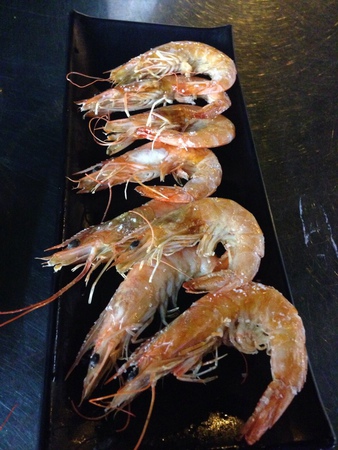 11419878_1091665650848576_868831079_n