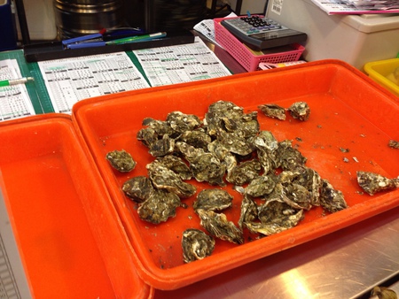 11243552_1091665884181886_162032983_o