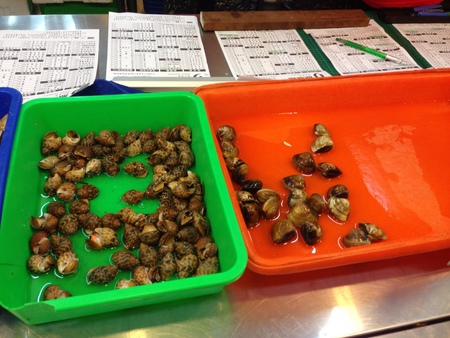 11262838_1091665937515214_1109917584_o