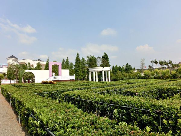 11694176_1018360898183304_946390943_n