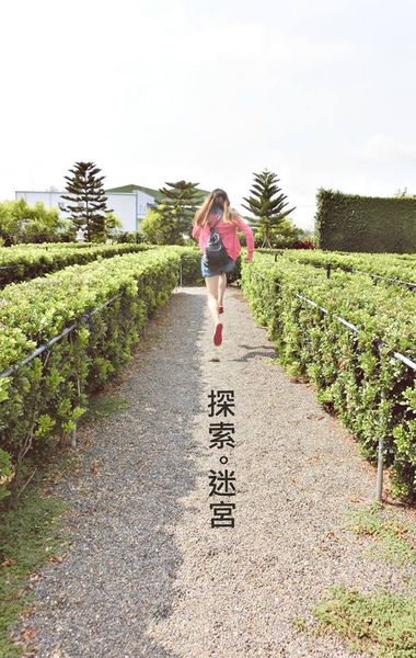 11403395_1017291261623601_5962924988361081624_n