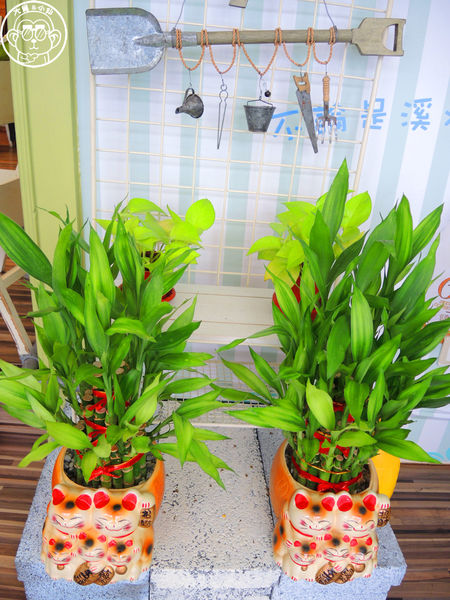 初鹿小站二店:呷飽祙【新北板橋・初鹿小站二店】純鮮乳做的吐司