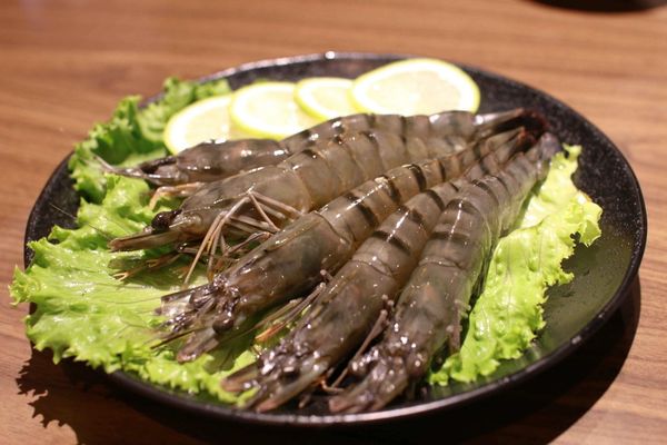 【新莊火鍋】樂崎火鍋-純正湯頭,海產鮮甜