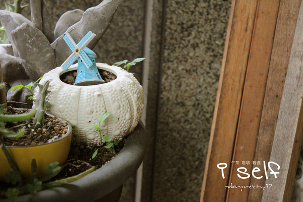 I Self Cafe & Shop輕食咖啡館:201505051918內壢【可愛的日式雜貨衝浪風】iself午茶咖啡輕食屋