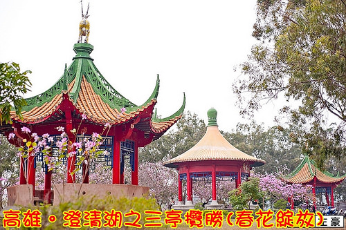 13060292664_2e5c263e67_c