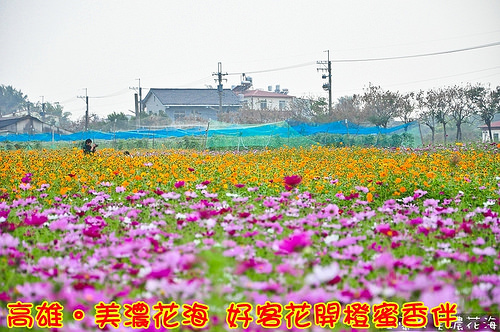 1379523455-3653100827