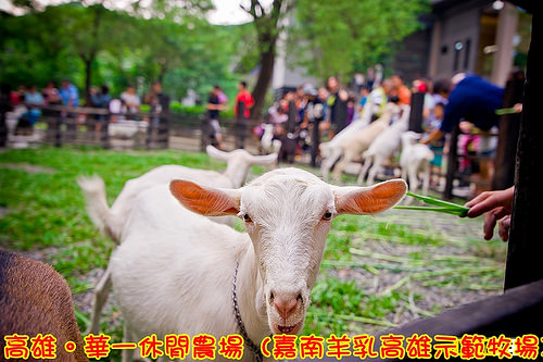 15573014202_68ec18928e_c