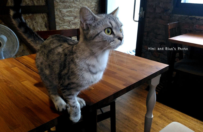 台中好日咖啡29