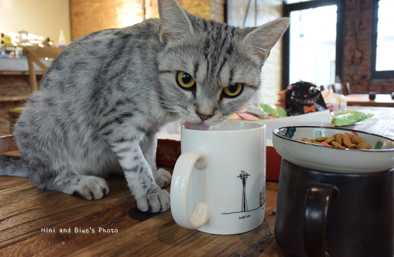 台中好日咖啡09