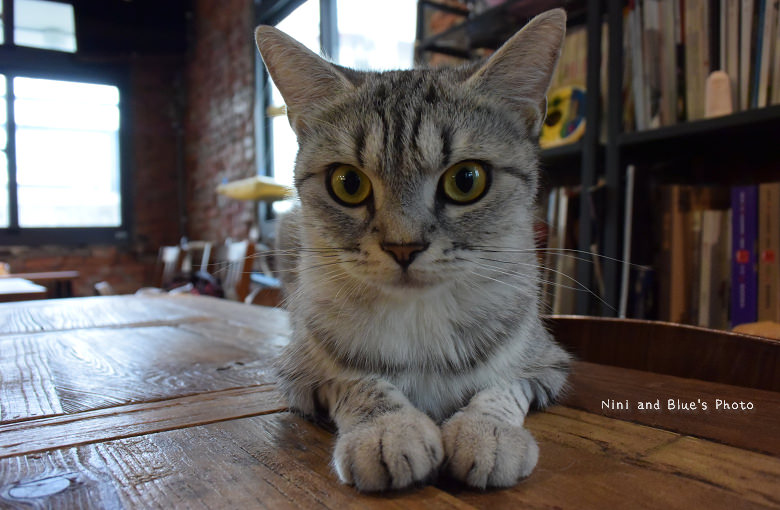 台中好日咖啡13