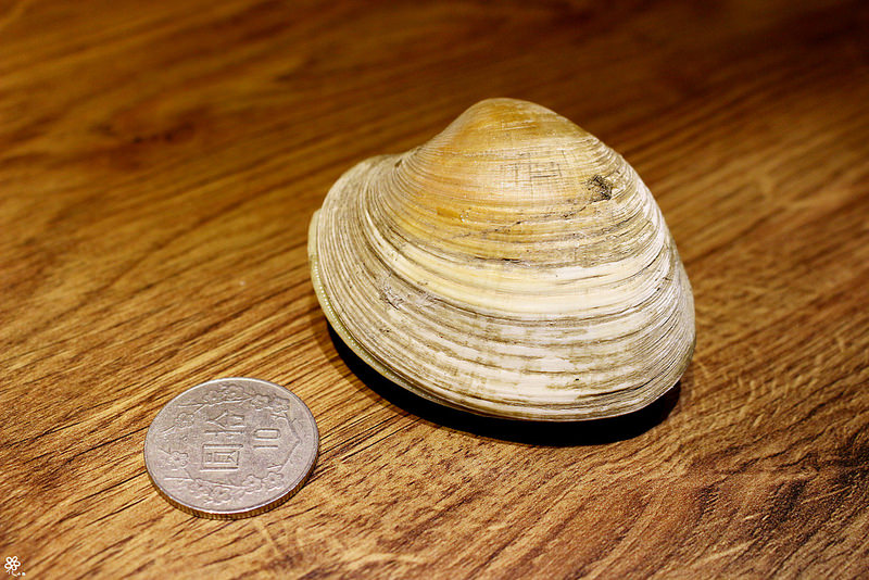 這味泰泰菜單 (46)