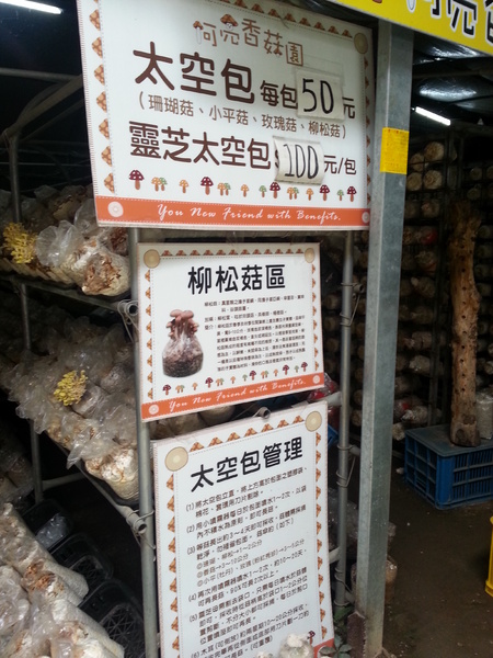 阿亮香菇園：[台中][景點]阿亮香菇園~鮮採菇菇真開心