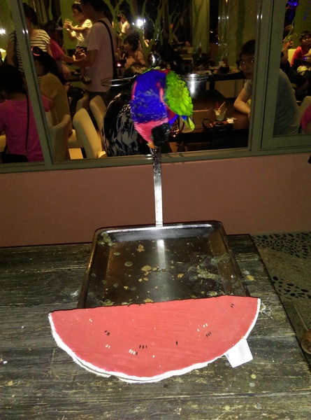 星月天空：南投星月天空 夜景超美 裡面有許多小動物 設施 有趣好玩的小天堂