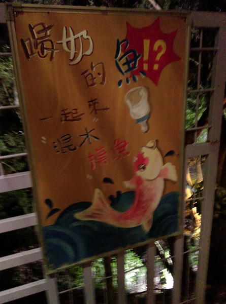 星月天空：南投星月天空 夜景超美 裡面有許多小動物 設施 有趣好玩的小天堂