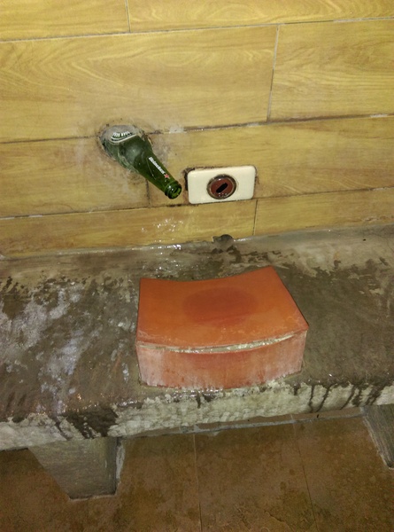 星月天空：南投星月天空 夜景超美 裡面有許多小動物 設施 有趣好玩的小天堂